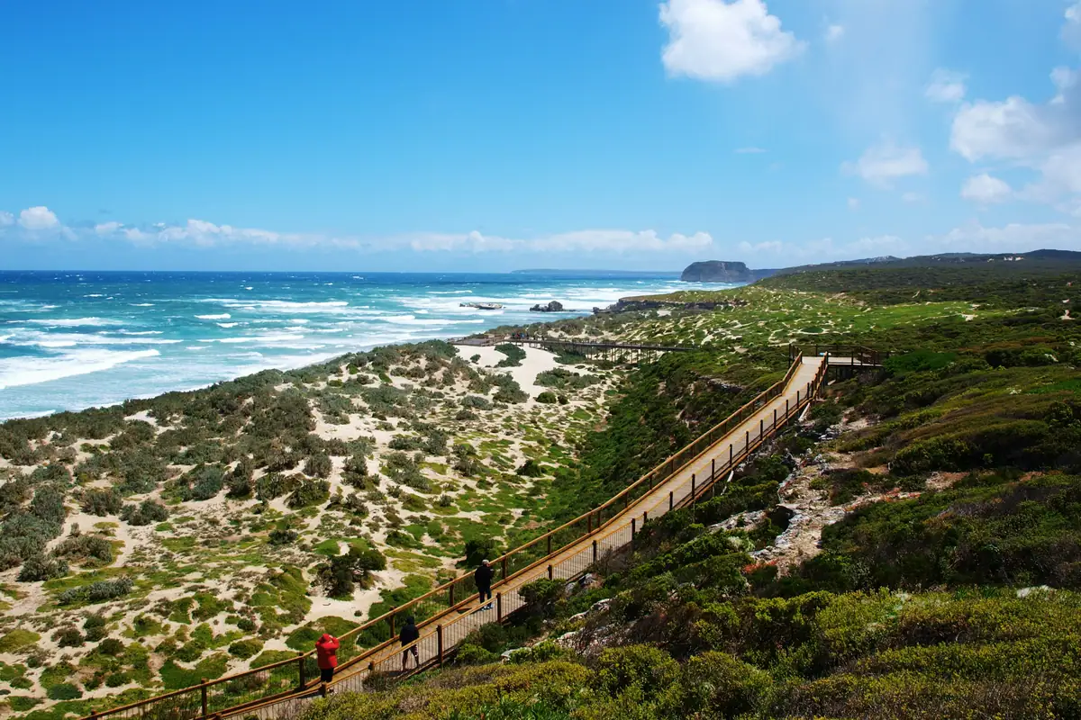 Boardwalk winding through coastal dunes and scrub down to the surf at Seal Bay, Kangaroo Island