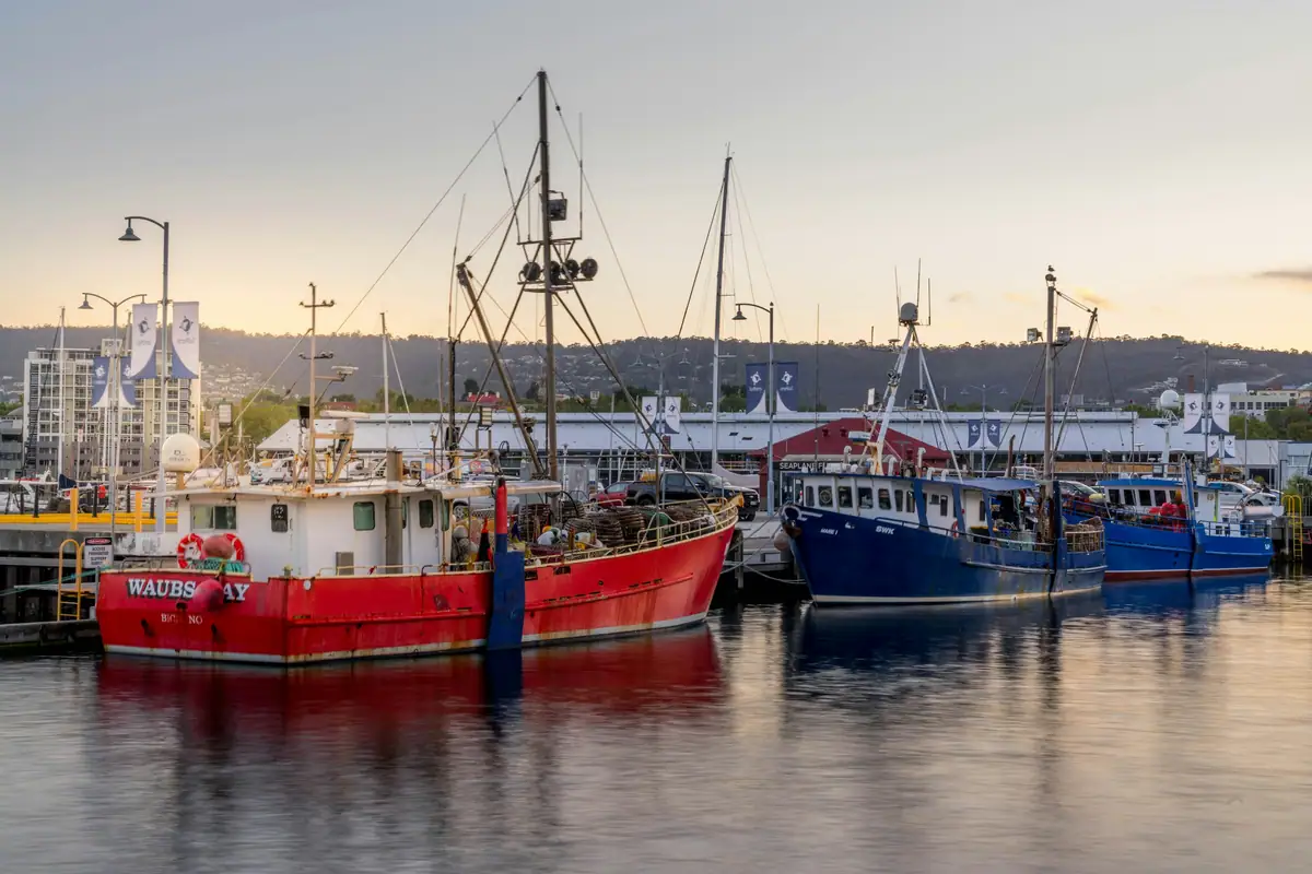Red and blue fishing boats moored on calm water at the Hobart waterfront in evening light